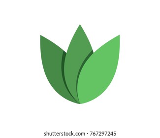 Tree leaf vector logo design, eco-friendly concept