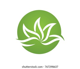 Tree leaf vector logo design, eco-friendly concept