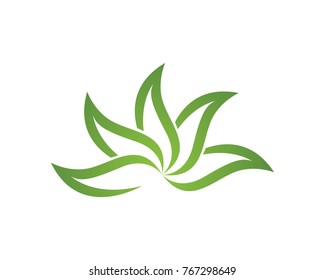 Tree leaf vector logo design, eco-friendly concept