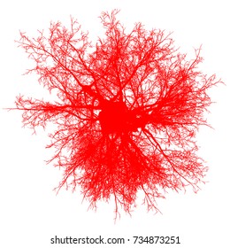 tree leafless top view silhouette isolated - red - vector illustration