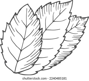 Tree leafs doodle. Hand drawn plant icon