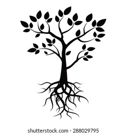 Tree with leafs and roots.