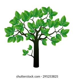 Tree and Leafs. Vector image.