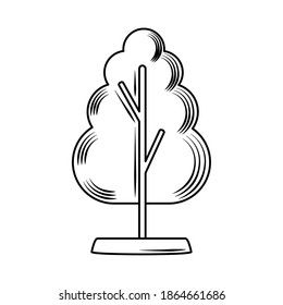 tree leafy vegetation nature linear style icon vector illustration