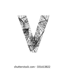 Tree Leave skeleton alphabet letters font, Vector Illustration