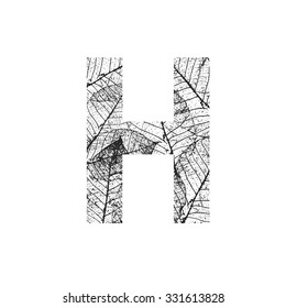 Tree Leave skeleton alphabet letters font, Vector Illustration