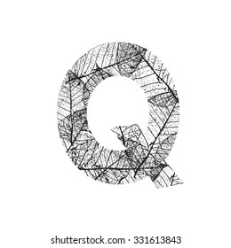 Tree Leave skeleton alphabet letters font, Vector Illustration