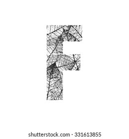 Tree Leave skeleton alphabet letters font, Vector Illustration