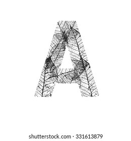 Tree Leave skeleton alphabet letters font, Vector Illustration