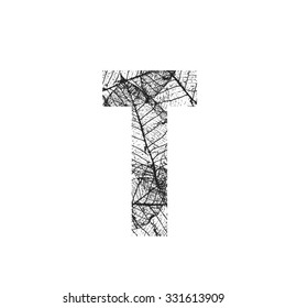 Tree Leave skeleton alphabet letters font, Vector Illustration