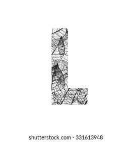 Tree Leave skeleton alphabet letters font, Vector Illustration