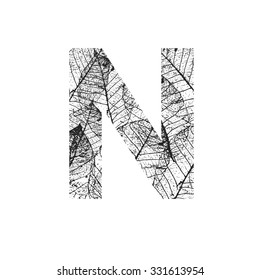 Tree Leave skeleton alphabet letters font, Vector Illustration