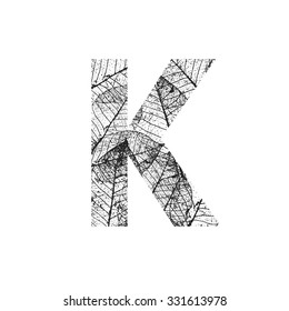 Tree Leave skeleton alphabet letters font, Vector Illustration