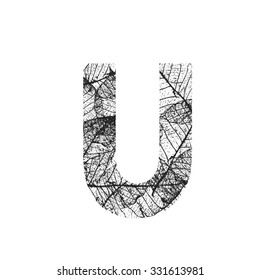 Tree Leave skeleton alphabet letters font, Vector Illustration