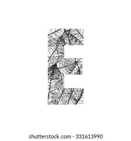 Tree Leave skeleton alphabet letters font, Vector Illustration