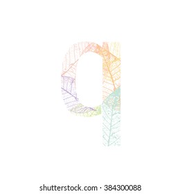 Tree Leave skeleton alphabet letters font, Vector Illustration
