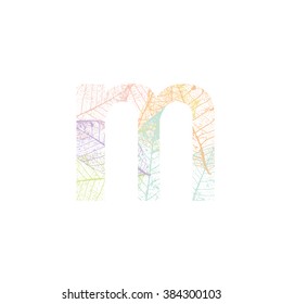 Tree Leave skeleton alphabet letters font, Vector Illustration