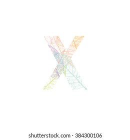 Tree Leave skeleton alphabet letters font, Vector Illustration
