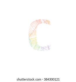 Tree Leave skeleton alphabet letters font, Vector Illustration