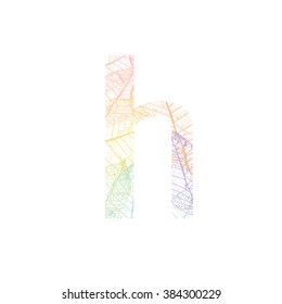 Tree Leave skeleton alphabet letters font, Vector Illustration