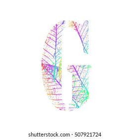 Tree Leave skeleton alphabet letters font, Vector Illustration