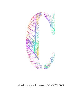 Tree Leave skeleton alphabet letters font, Vector Illustration