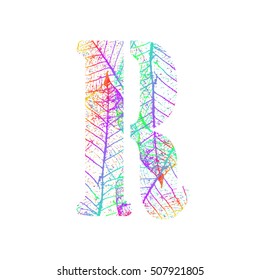 Tree Leave skeleton alphabet letters font, Vector Illustration
