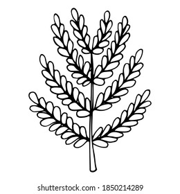Tree With Leaves. Abstract tree in line art drawing style.