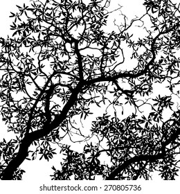 Tree with leaves background black and white. Vector