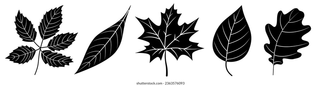 Tree leaves black silhouette isolated cutout monochrome vector clipart illustration set. Autumn leaves line art design elements. Tree foliage nature pictogram, leaf logo or icon collection.