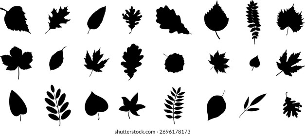 Tree leaves black silhouette vector botanical illustration isolated on white background