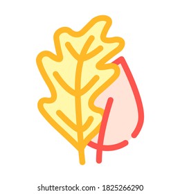 tree leaves color icon vector. tree leaves sign. isolated symbol illustration