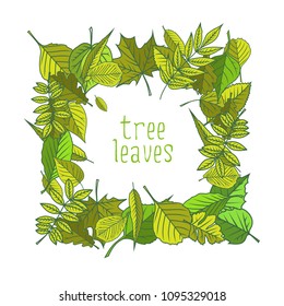 Tree leaves. Colorful illustrations. Vector illustration.