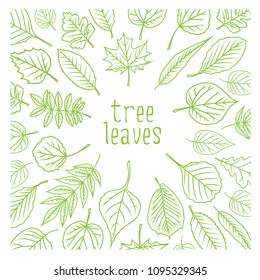 Tree leaves. Colorful illustrations. Vector illustration.