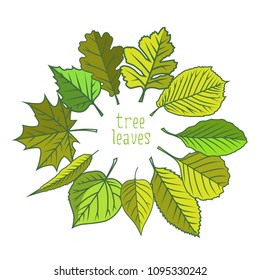Tree leaves. Colorful illustrations. Vector illustration.