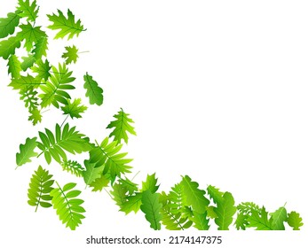 Tree leaves delicate vector pattern. Realistic tree foliage macro. Mix of many different leaves composition. Herbal organic design. Fresh floral beautiful backdrop.