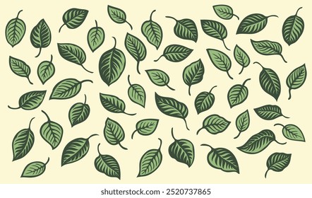 Tree leaves. Design set. Editable hand drawn illustration. Vector vintage engraving. Isolated on light background. 8 EPS