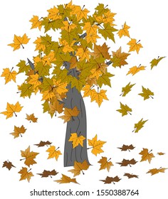 Tree with leaves falling in autumn