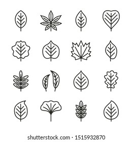  Tree leaves flat line icons set - aspen, linden, maple, willow, chestnut, oak, acacia. Autumn plant pixel perfect collection. Vector illustration.