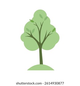 Tree and leaves in flat style. Simple lush tree, botanical element collection isolated on white background.  Vector design