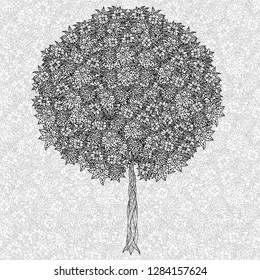 Tree with leaves and flowers. Vector. Coloring book page for adults. Hand drawn. Bohemia concept for wedding invitation, card, ticket, branding, logo, label. Black and white