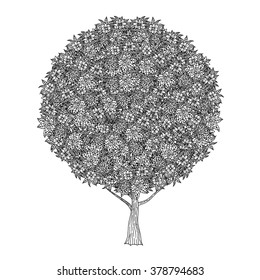 Tree with leaves and flowers. Vector. Coloring book page for adults. Hand drawn. Bohemia concept for wedding invitation, card, ticket, branding, logo, label. Black and white