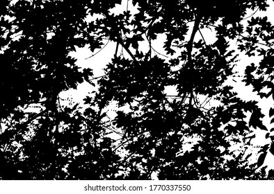 Baumblätter. Waldhintergrund.Grunge Textur. Grunge, schwarz-weißes Vektorüberlagern. Graugraue Oberfläche.