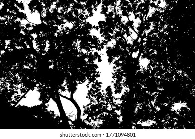 Hojas de árbol. Fondo de naturaleza forestal. Textura gruesa. Sobreposición vectorial en blanco y negro. Superficie gruesa de grano.