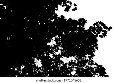 Tree leaves. Forest nature backdrop.Grunge texture. Grunge black and white vector overlay. Grungy grainy surface.