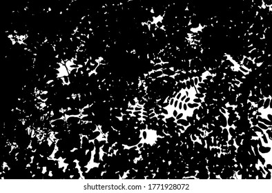 Tree leaves. Forest nature backdrop.Grunge texture. Grunge black and white vector overlay. Grungy grainy surface.