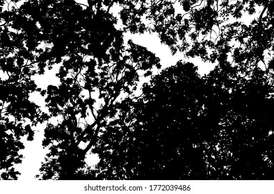 Hojas de árbol. Fondo de naturaleza forestal. Textura gruesa. Sobreposición vectorial en blanco y negro. Superficie gruesa de grano.