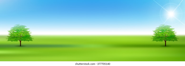 Tree leaves fresh green background