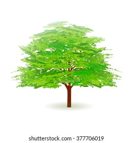 Tree leaves fresh green icon
