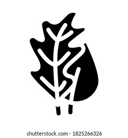 Baum hinterlässt Glyphsymbol-Vektorgrafik. Baum Blätter Schild. isoliertes Kontursymbol